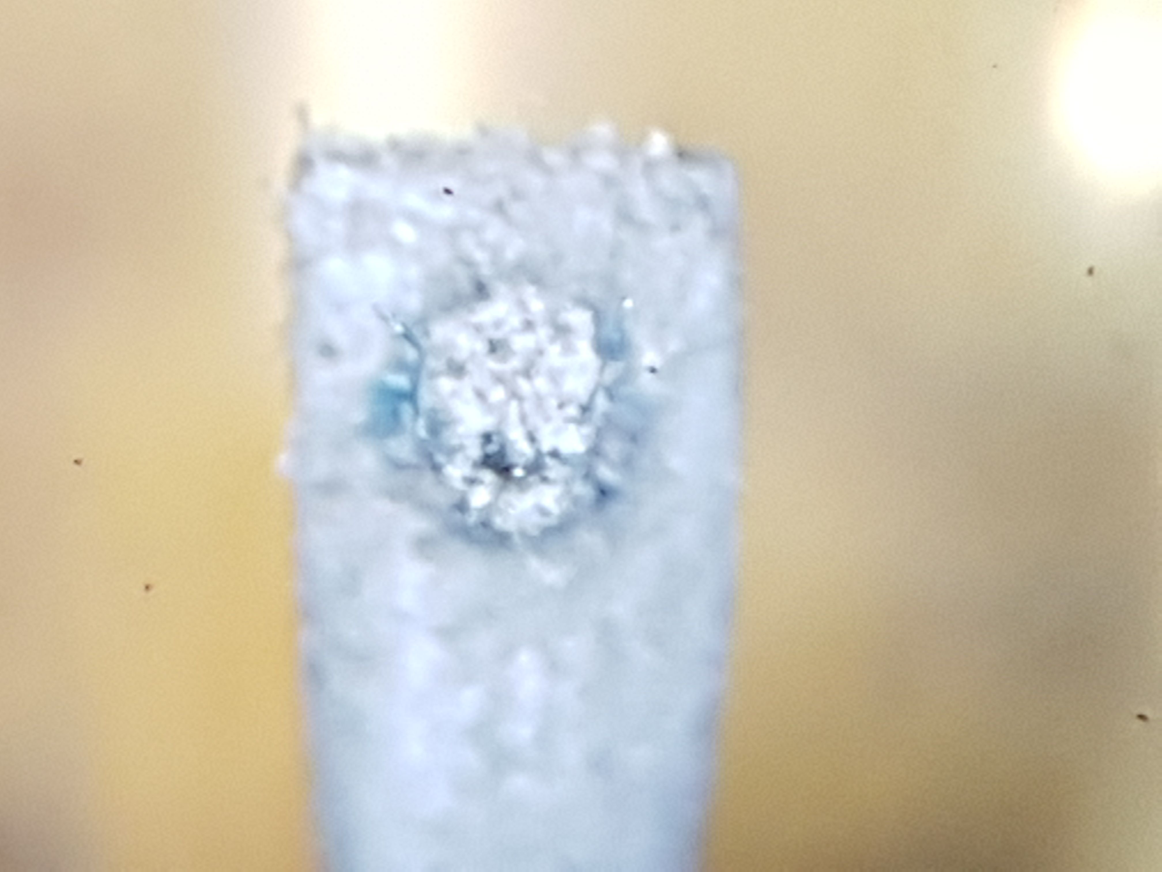 Tisztítás előtt 2.jpg