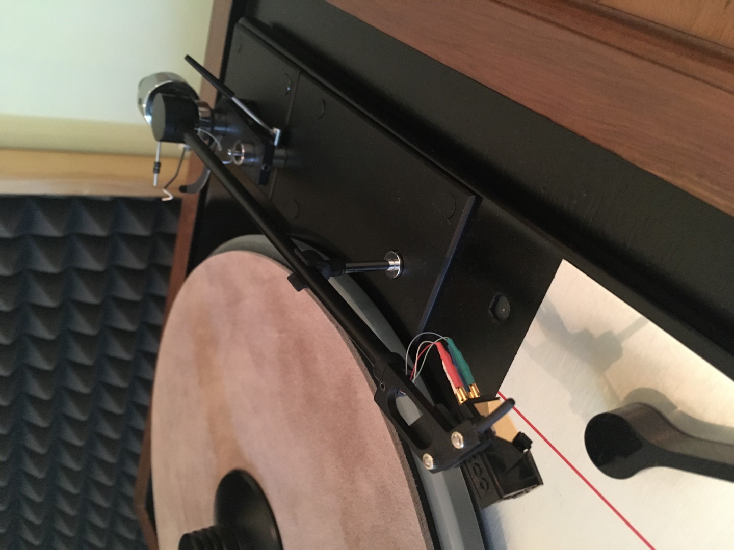 IMG_1595 (Large).JPG