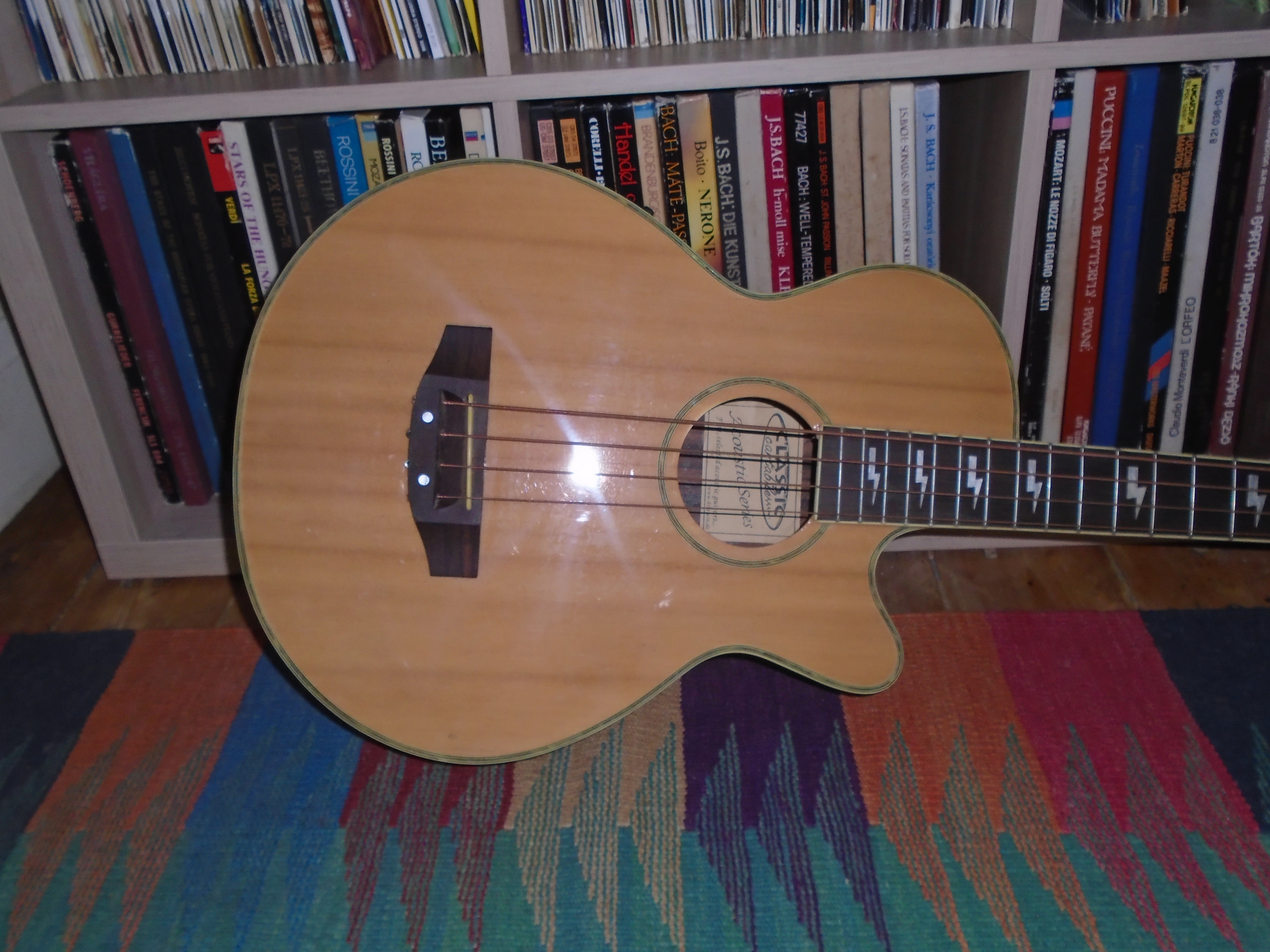 bassz2.JPG