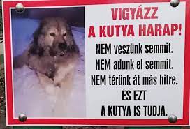 kutya.jpg
