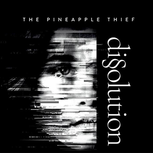 The_Pineapple_Thief_Dissolution_Album_Cover.jpg
