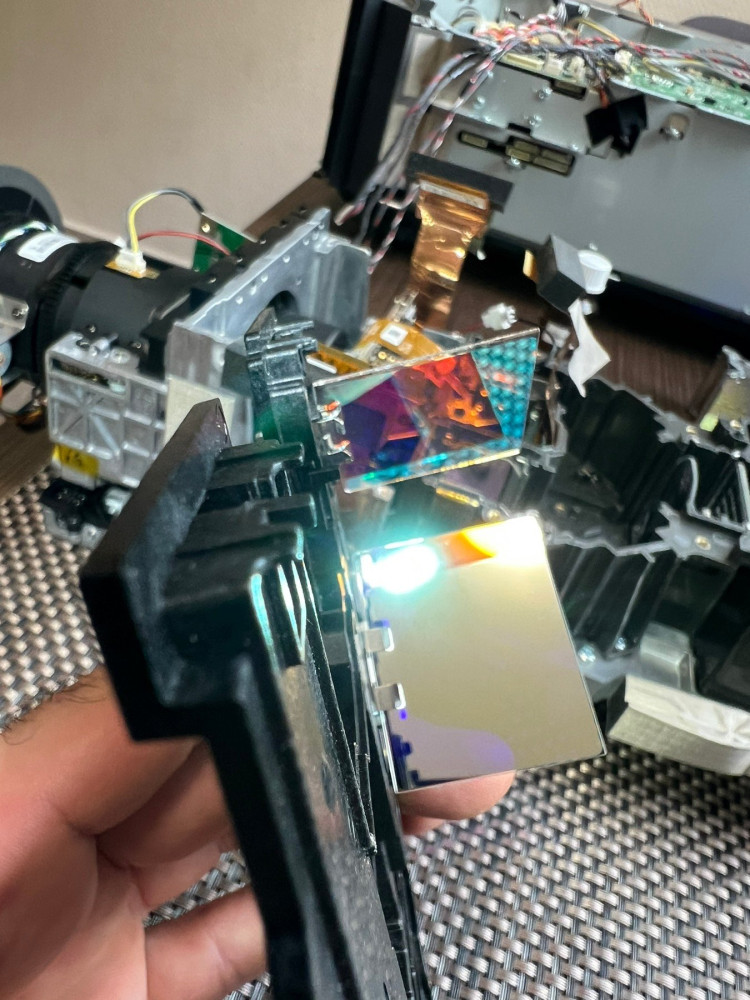 Diklorikus tükrök tisztán.jpg