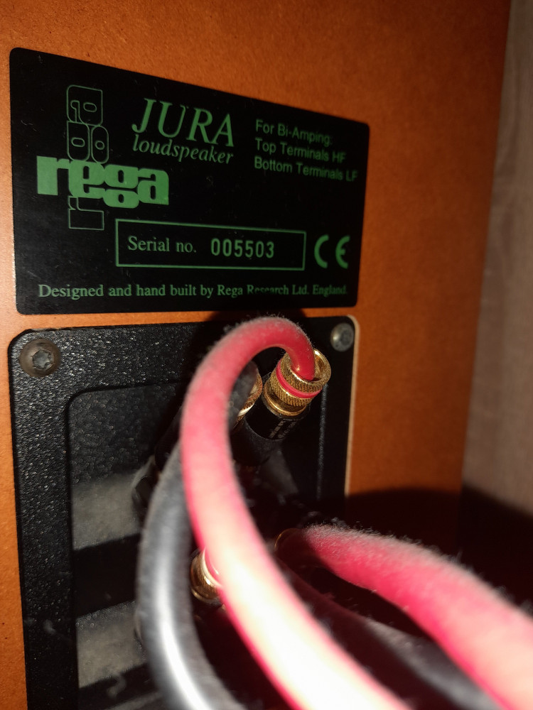 20231012_000737.jpg