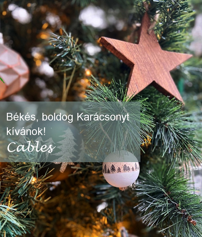 Boldog Karácsonyt kívánok.png