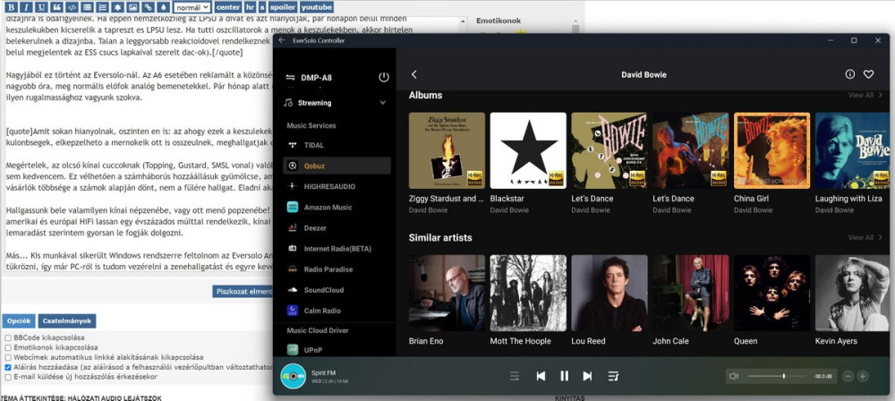 Eversolo Windows.jpg
