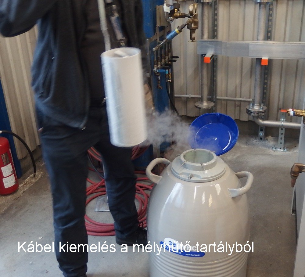 Kiemelés mélyhűtő tartályból.jpg