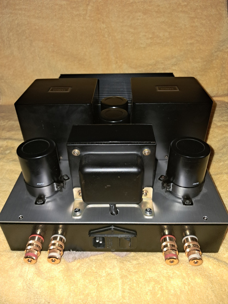 Münchhausen drive V-FET SE rear foto.jpg