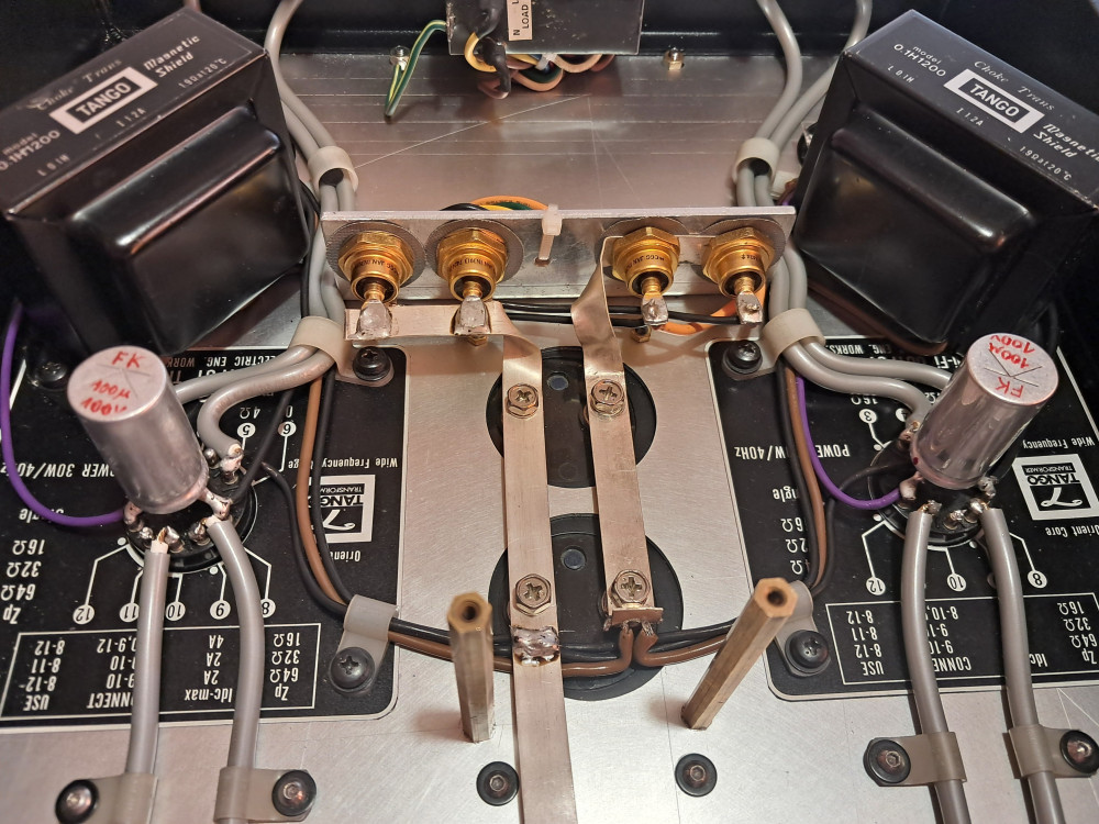 Münchhausen drive V-FET SE BG decoupling capacitor.jpg