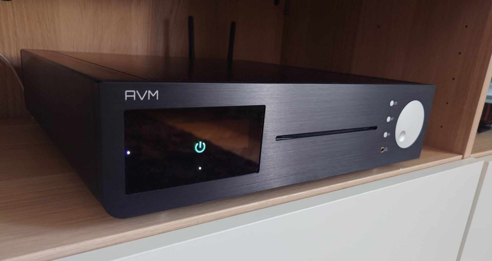 AVM.jpg