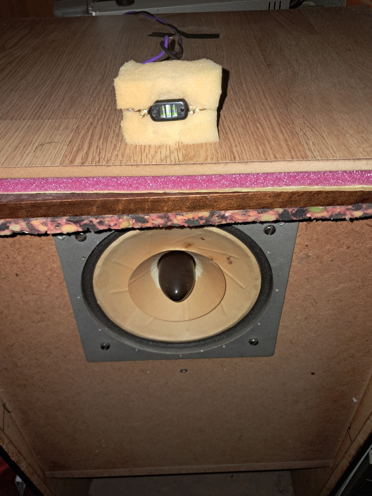Lowther P6M & Taket BATPURE super tweeter.jpg