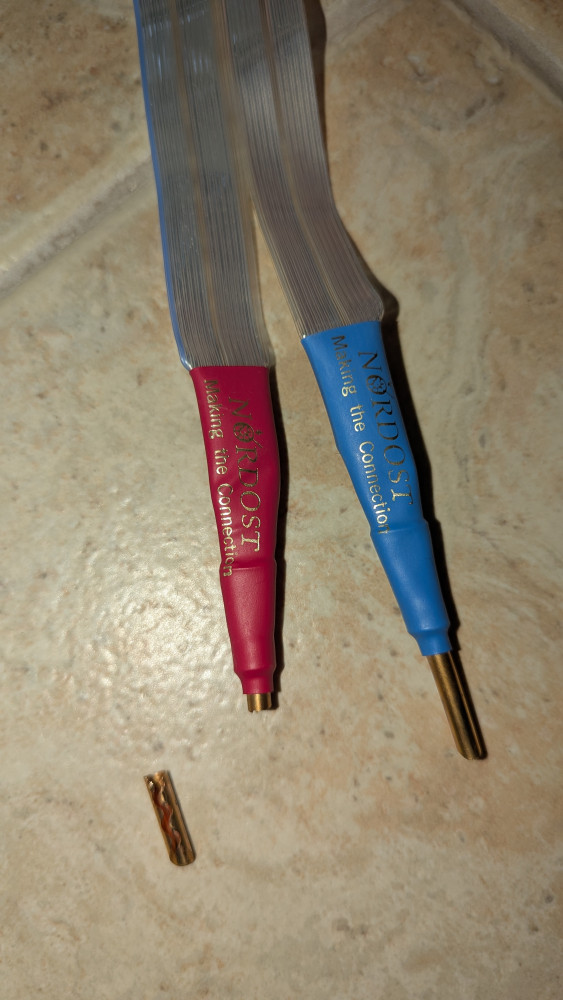 PXL_20250116_103318250.jpg