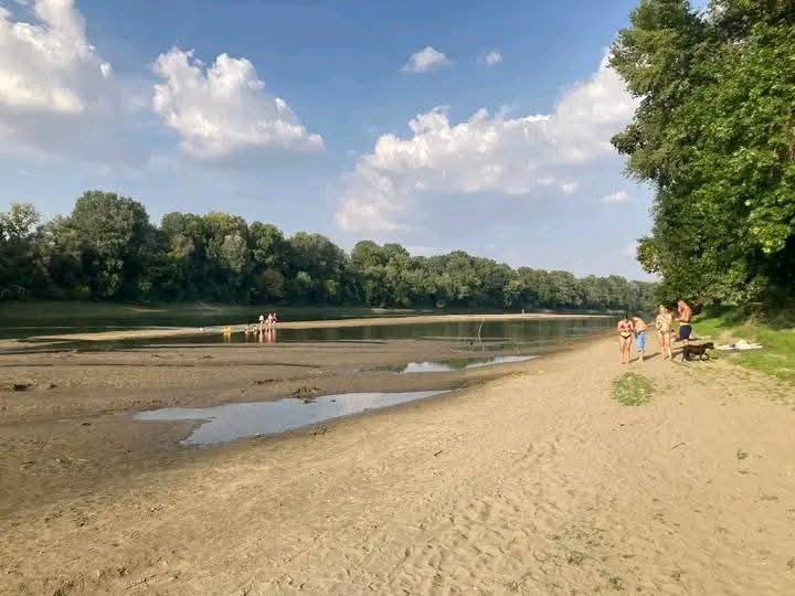Tisza 20250706-2.jpg