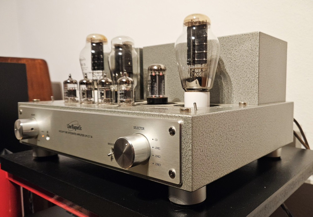 20250308_194258 2.jpg