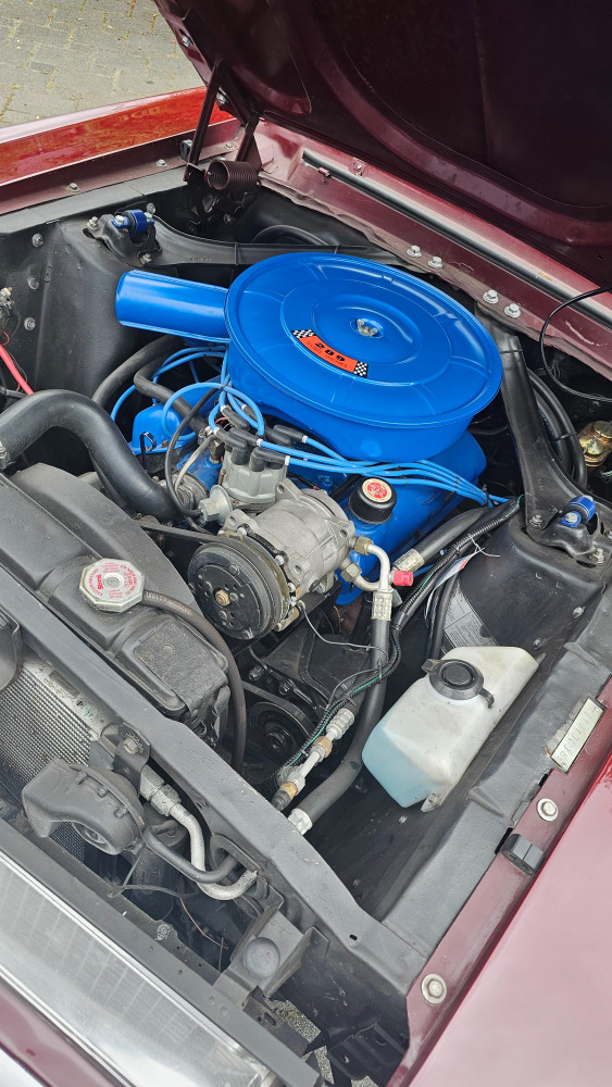 20250816_145425.jpg