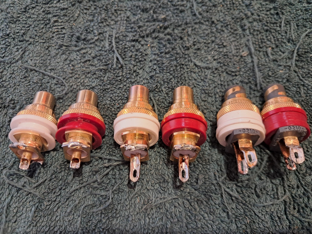 WBT RCA socket phylogeny   .jpg