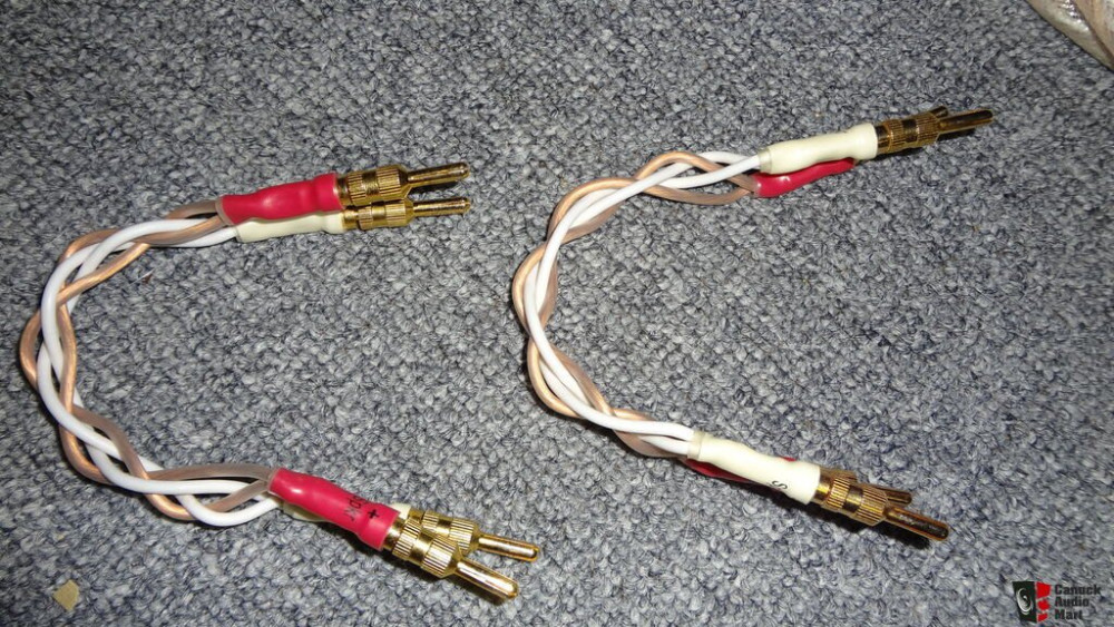 801805-5762a1d0-shunyata-research-gemini-speaker-cables-with-jumpers.jpg
