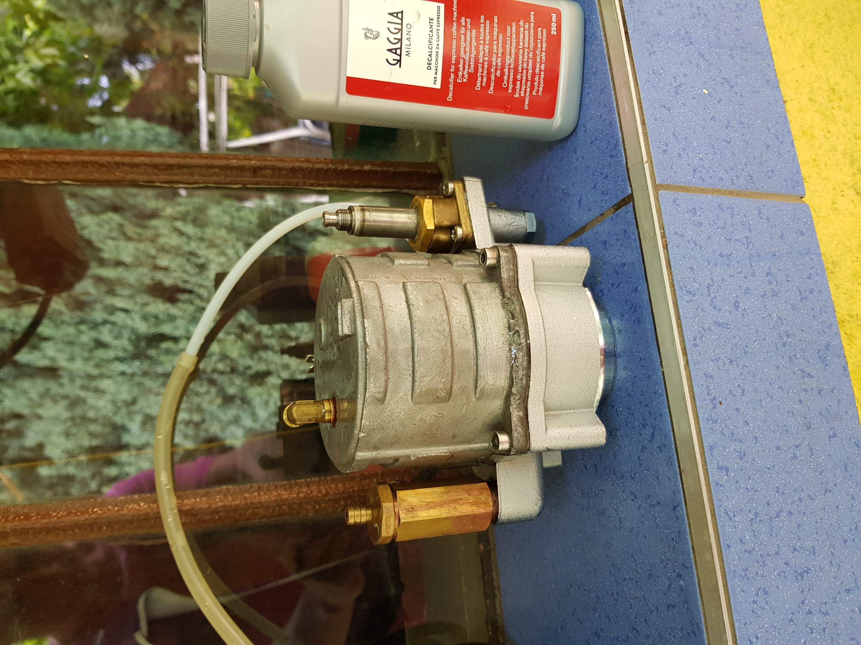 20190728_123557.jpg