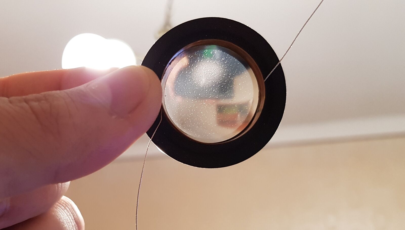 tweeter dome.jpg
